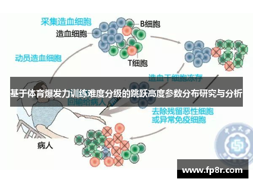 基于体育爆发力训练难度分级的跳跃高度参数分布研究与分析