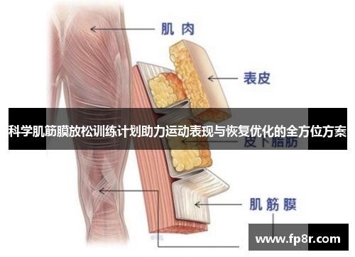 科学肌筋膜放松训练计划助力运动表现与恢复优化的全方位方案